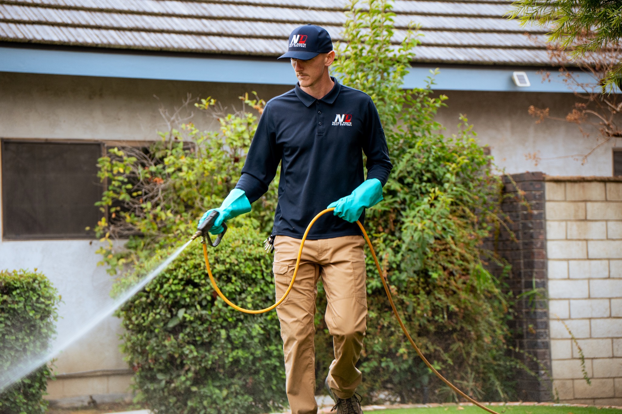 What’s The Best Pest Control Company in Bakersfield, CA?