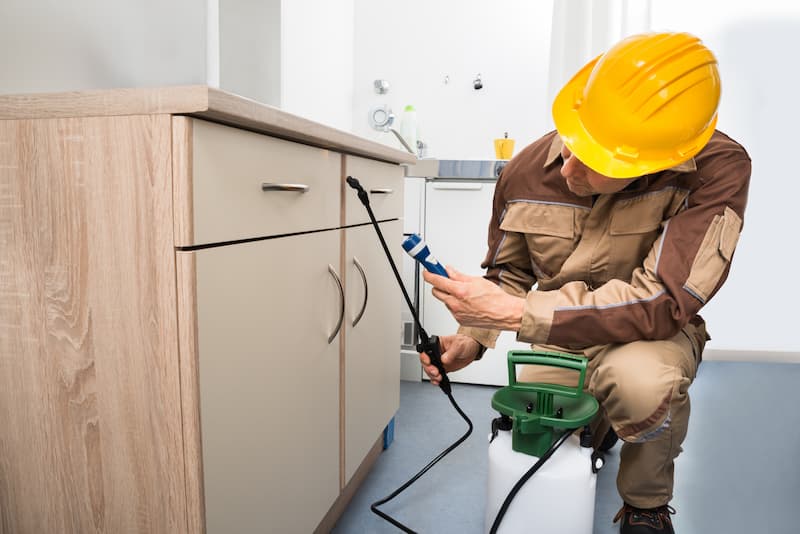 7 Common Questions About Professional Pest Control